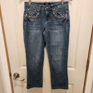 Earl Jean Women's Stretch Embroidered Denim Straight Leg Jeans, Size 4